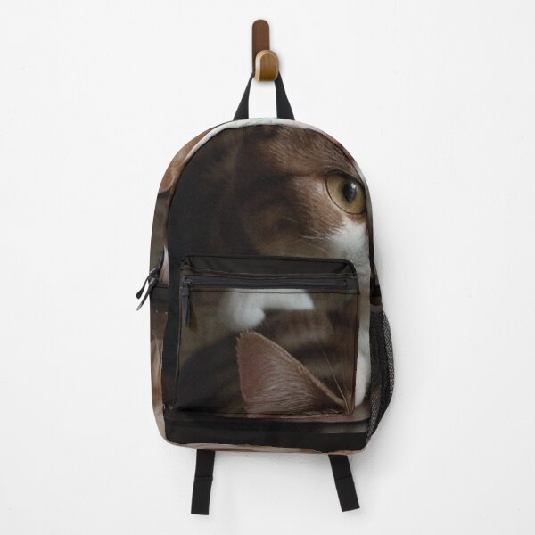 Item preview, cute cat for decorating projects Transparent background. generative AI designed and sold by paolboa.