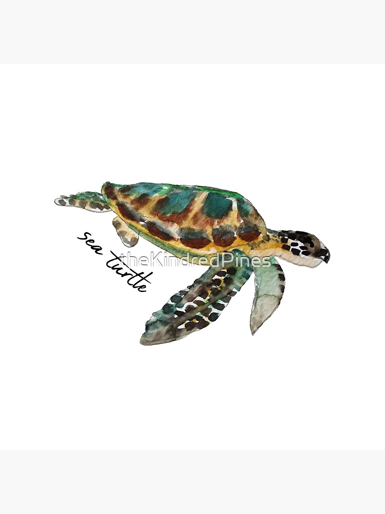Dessin tortue facile – Mer Aux Trésors