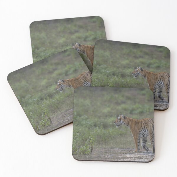 Item preview, Tiger on the Move designed and sold by Puttaswamy Ravishankar.