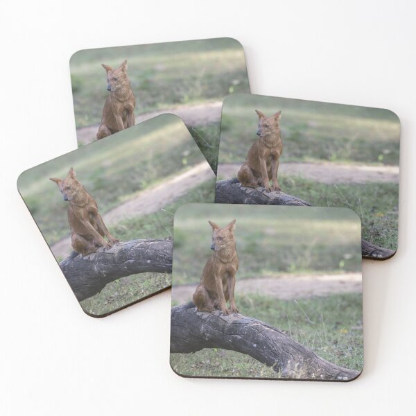 Item preview, Dhole designed and sold by Puttaswamy Ravishankar.
