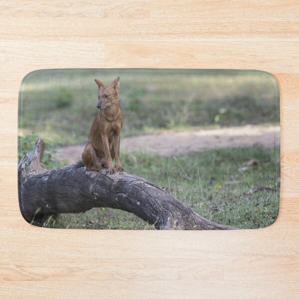 Item preview, Dhole designed and sold by Puttaswamy Ravishankar.