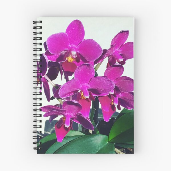 Item preview, Fluro Purple Orchid designed and sold by jnorton772.