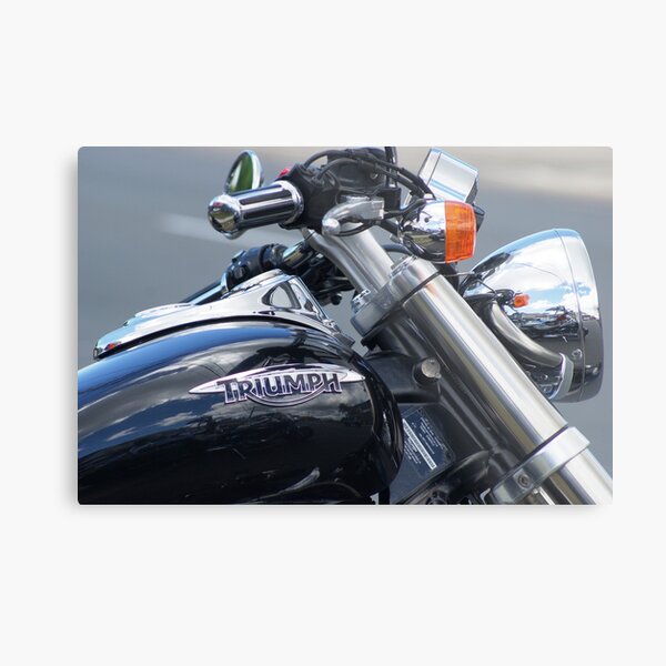 "Art is the Triumph over Chaos" ~ John Cheever Metal Print