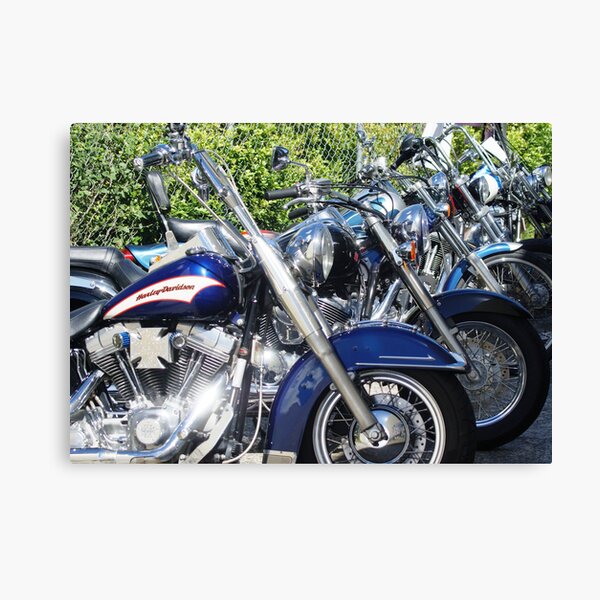 Ready to roll Canvas Print