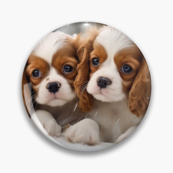 Item preview, Cavalier king charles spaniels mini dog breed white and brown puppies in snow photography designed and sold by NBSStore.