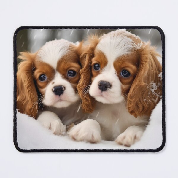 Item preview, Cavalier king charles spaniels mini dog breed white and brown puppies in snow photography designed and sold by NBSStore.