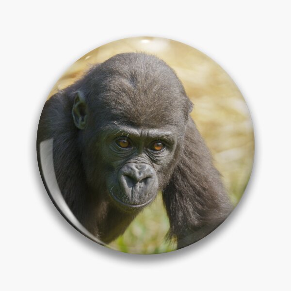 Item preview, Baby Gorilla designed and sold by rawshutterbug.