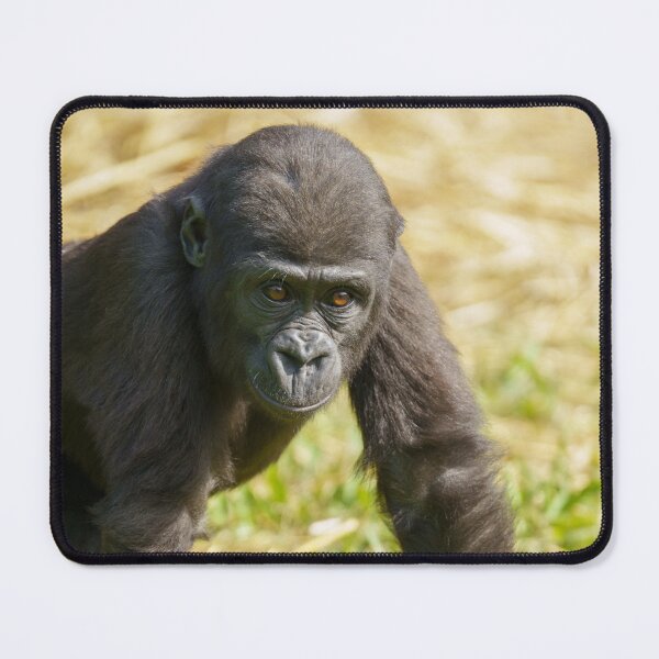Item preview, Baby Gorilla designed and sold by rawshutterbug.