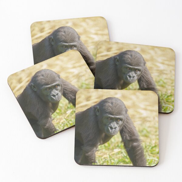 Item preview, Baby Gorilla designed and sold by rawshutterbug.