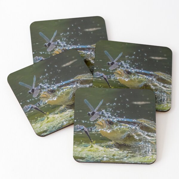 Item preview, Large mouth Bass and 2 dragonflies! designed and sold by Raymond J Barlow.