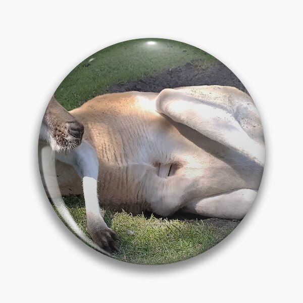 Item preview, Kangaroo  designed and sold by Perthtshirtguy.