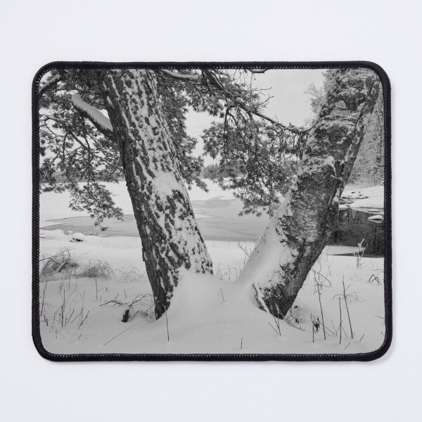 Item preview, Grown together. Parkkuu winter 2023  bw designed and sold by Jouko Lehto Photography.