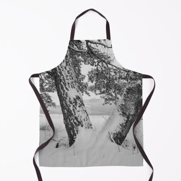 Item preview, Grown together. Parkkuu winter 2023  bw designed and sold by Jouko Lehto Photography.