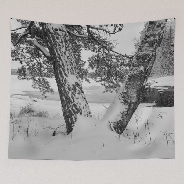 Item preview, Grown together. Parkkuu winter 2023  bw designed and sold by Jouko Lehto Photography.