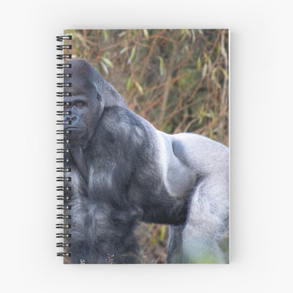 Item preview, Silverback designed and sold by Mike Higgins.