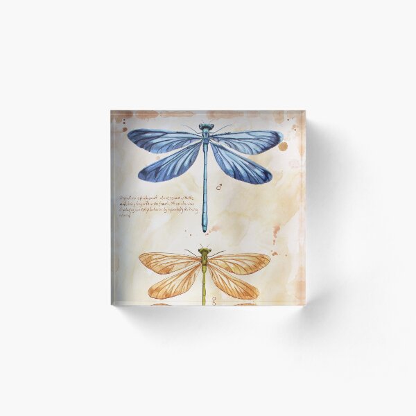 Nature art insect science Acrylic Block