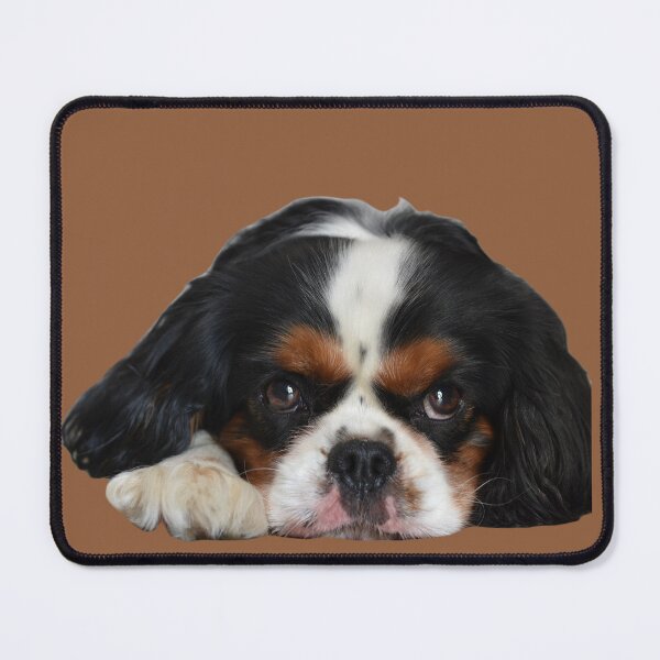 Item preview, King Charles the III, King of England Cavalier, Gift for The Cavie Dog Lover, King Charles Spaniel designed and sold by DiensDesign.