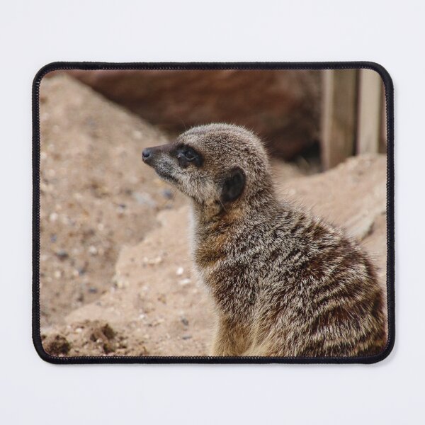 Item preview, lone meerkat designed and sold by Perggals© - Stacey Turner.
