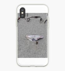 Sea Shell iPhone Case