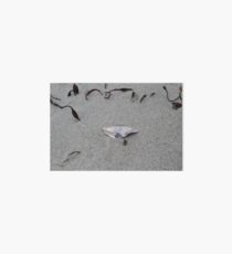 Sea Shell Art Board