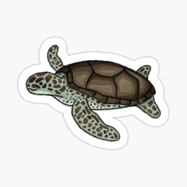 Aperçu de l'œuvre Tortue de dessin animé simple créée et vendue par SheepLane.