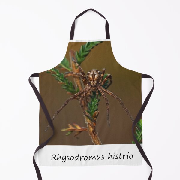 Item preview, Rhysodromus histrio - Spider designed and sold by SteveEvansArt.