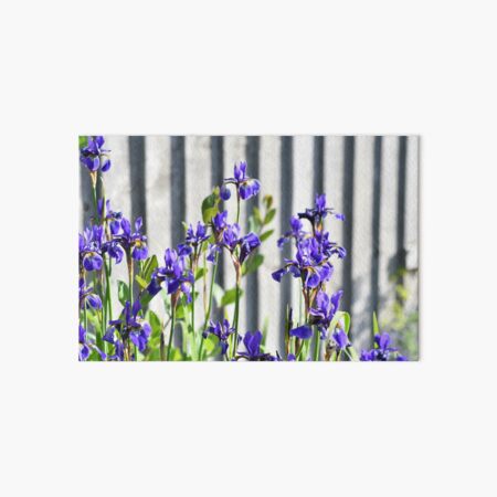 Item preview, Purple Irises designed and sold by Rut Stern.