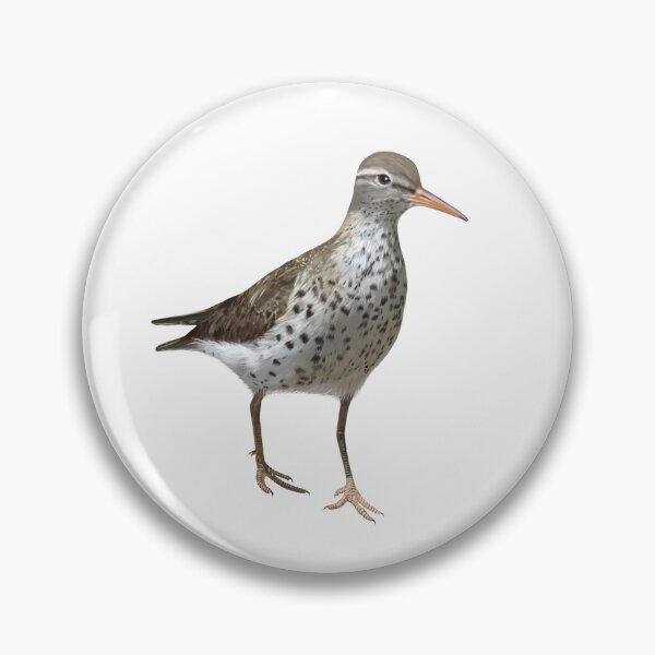Item preview, Sandpiper Shore Bird designed and sold by Wondersofwhimsy.