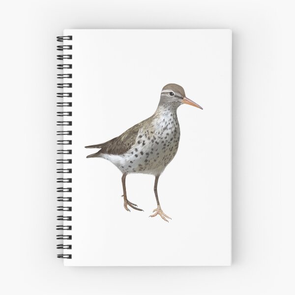 Item preview, Sandpiper Shore Bird designed and sold by Wondersofwhimsy.