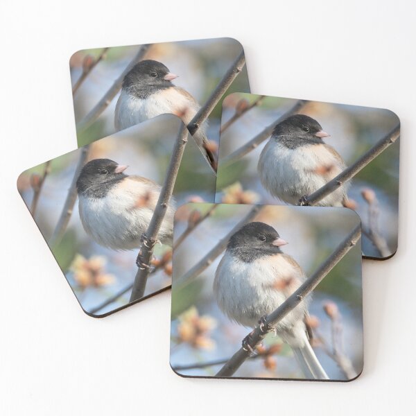 Item preview, Dark Eyed Junco designed and sold by wildlifist.