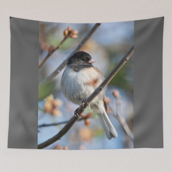 Item preview, Dark Eyed Junco designed and sold by wildlifist.
