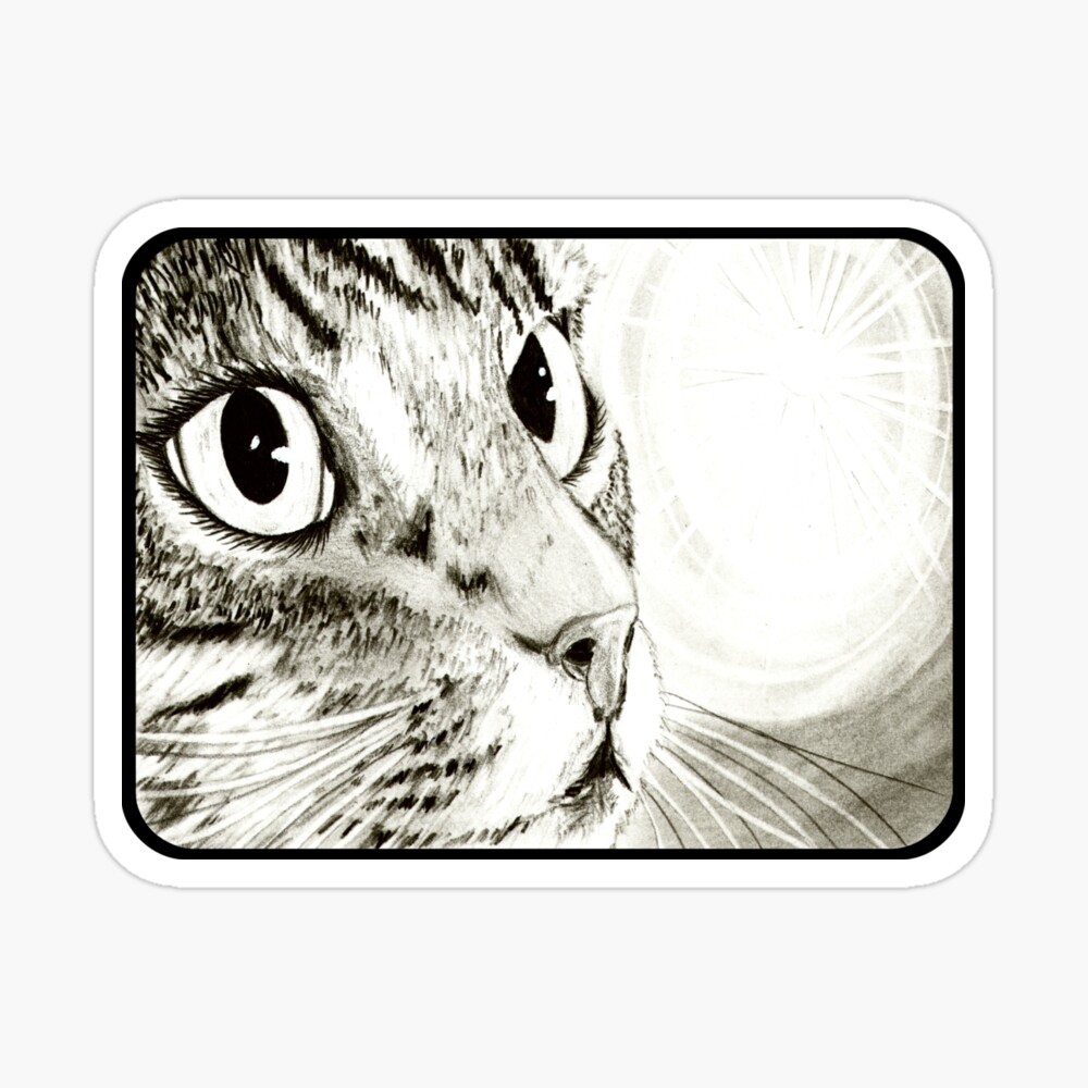 Impression Sur Toile Dessin De Chat Tigre Feerique Par Tigerpixie Redbubble