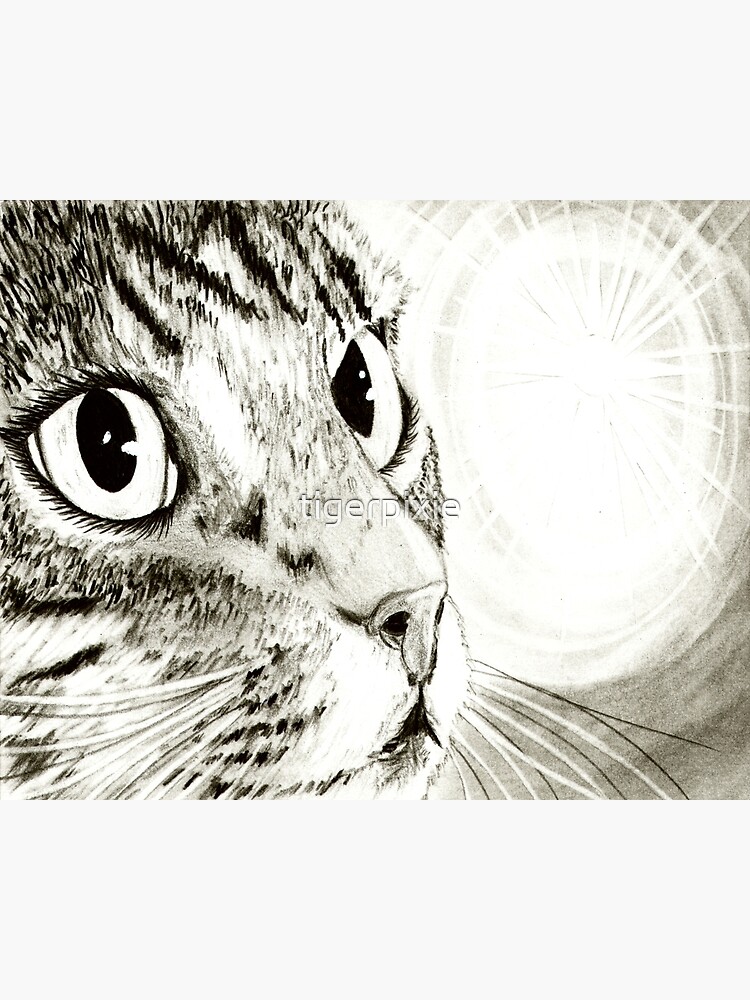 Carte De Vœux Dessin De Chat Tigre Feerique Par Tigerpixie Redbubble