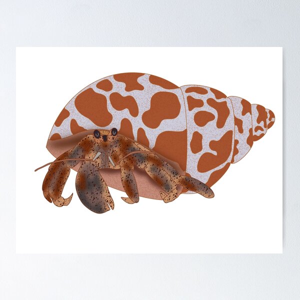 Item preview, Hermit Crab designed and sold by autumnallen15.