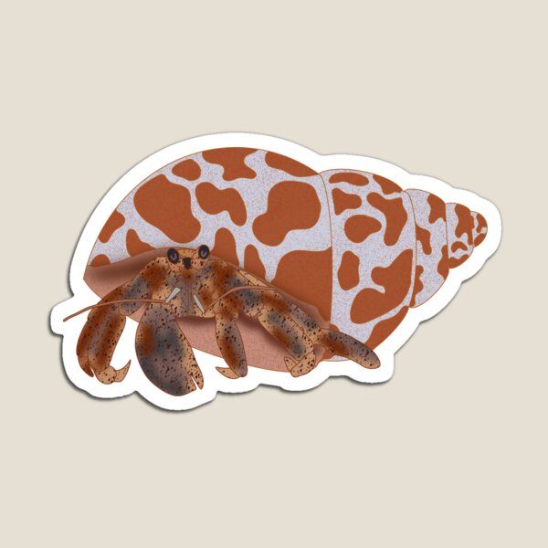 Item preview, Hermit Crab designed and sold by autumnallen15.