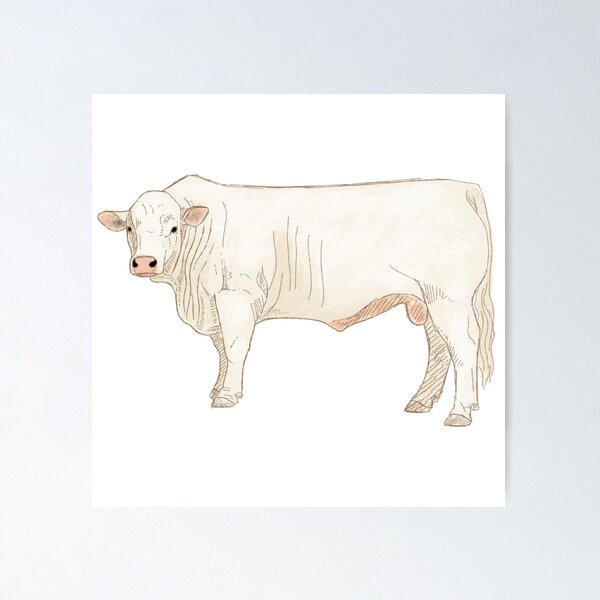Item preview, Blonde Bull designed and sold by Hanbanner.