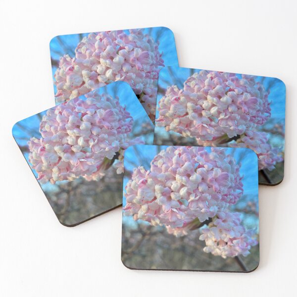 Item preview, Very Vibrant Viburnum designed and sold by Violaman.