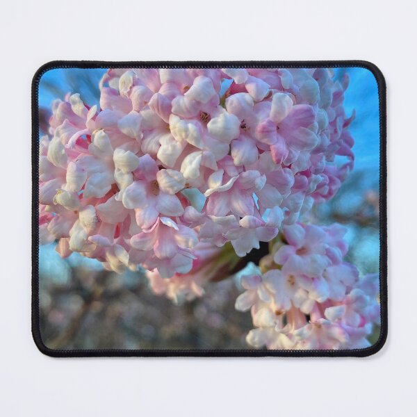 Item preview, Very Vibrant Viburnum designed and sold by Violaman.