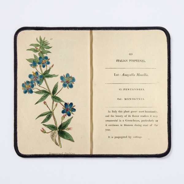 Item preview, Blue Pimpernel designed and sold by Noura Sultani.