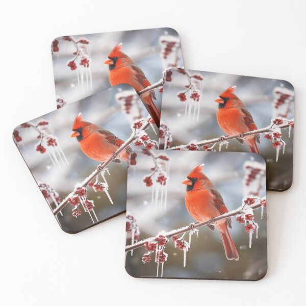 Item preview, Cardinal Perched on Limb with Thawing Snow designed and sold by dcrc.