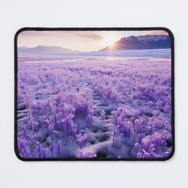 Item preview, Lavender Field Covered with Thawing Snow designed and sold by dcrc.