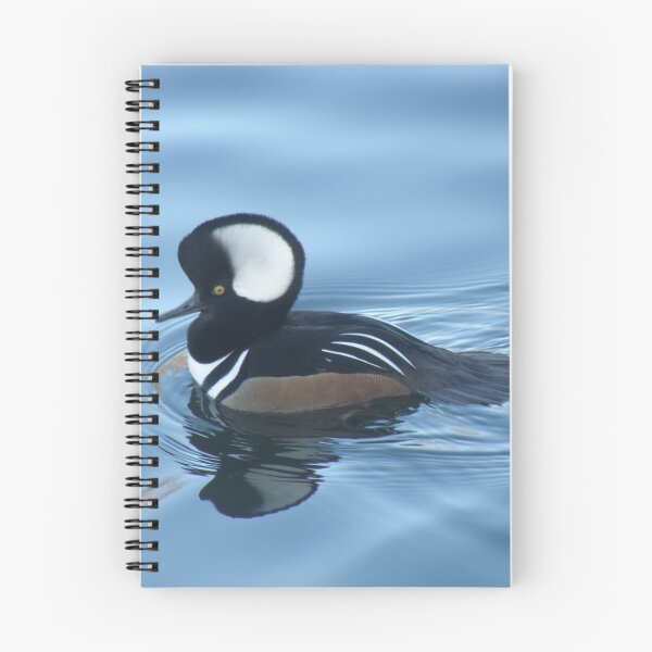 Item preview, Male Hooded Merganser Duck Reflection designed and sold by naturegallery.