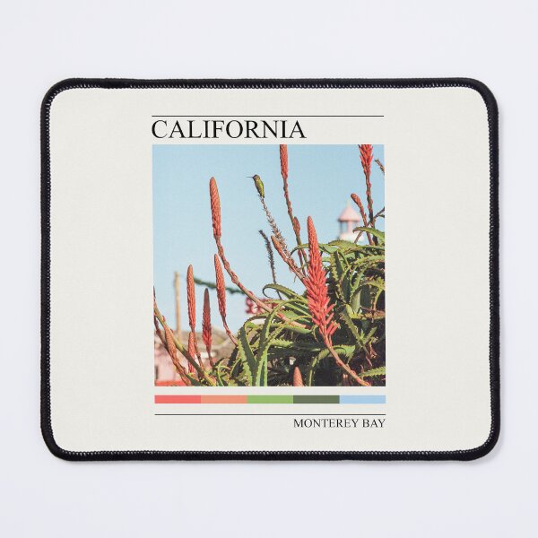 Item preview, California Coast Hummingbird | Monterey Bay Film Photography designed and sold by anthonylonder.