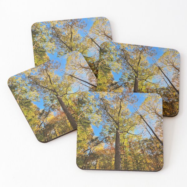 Item preview, Aurum's Glory Nature Photographic Print  designed and sold by TwistedP-Photos.