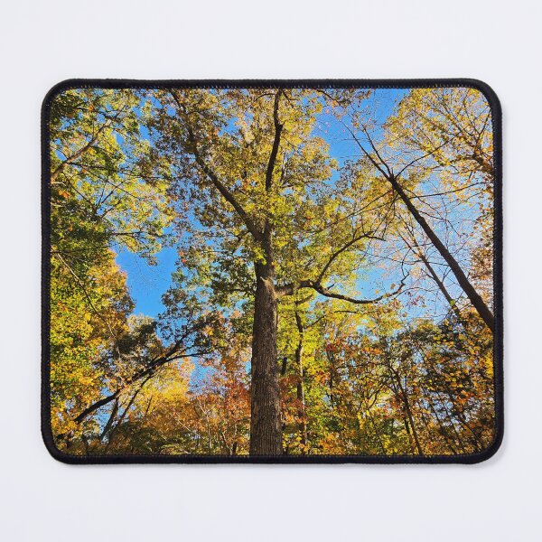 Item preview, Aurum's Glory Nature Photographic Print designed and sold by TwistedP-Photos.