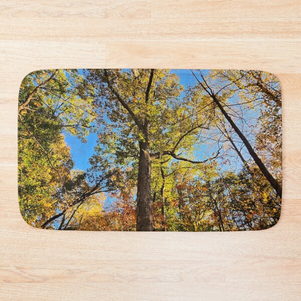 Item preview, Aurum's Glory Nature Photographic Print  designed and sold by TwistedP-Photos.