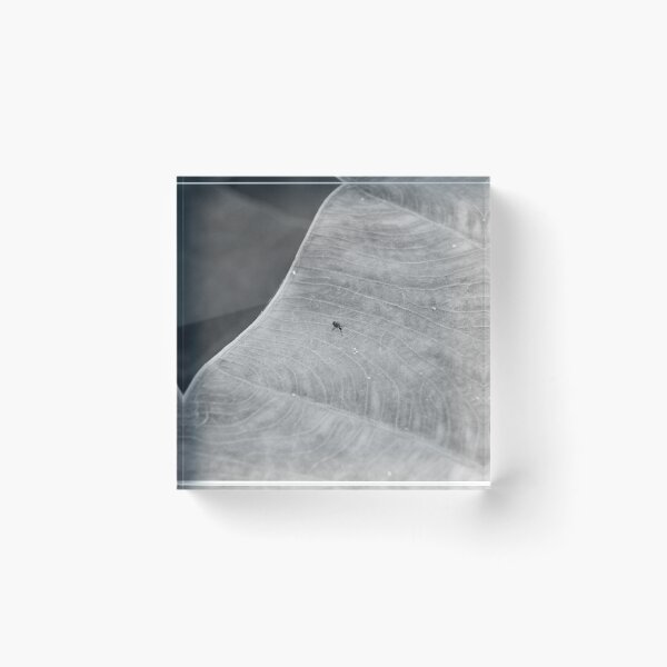 Item preview, Island designed and sold by ROSE ANN BANILAR.