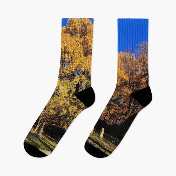 Item preview, Autumn Colors At Eastern Cemetery  designed and sold by TwistedP-Photos.