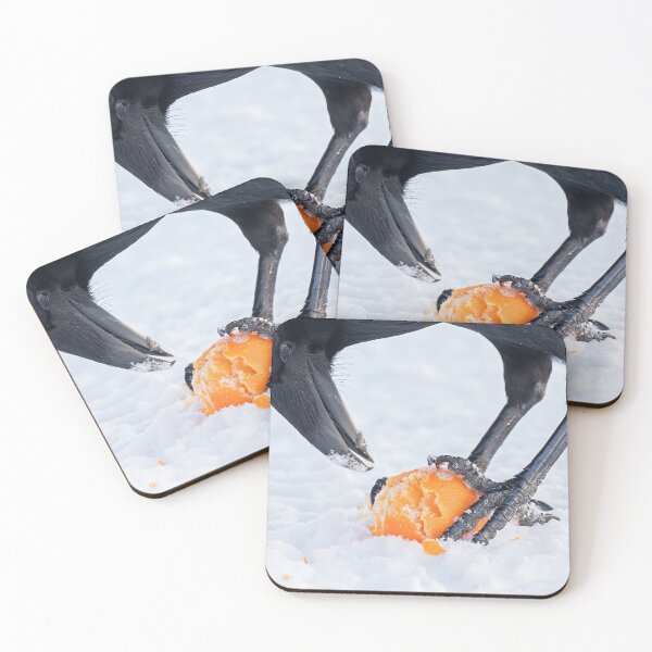 Item preview, An Orange for Raven designed and sold by DWMMPhotography.