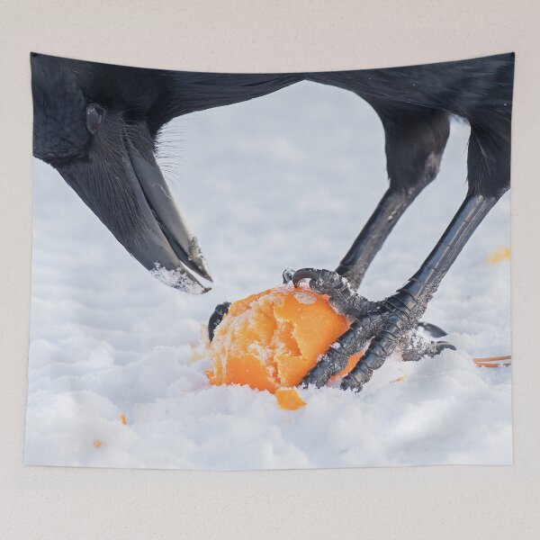 Item preview, An Orange for Raven designed and sold by DWMMPhotography.